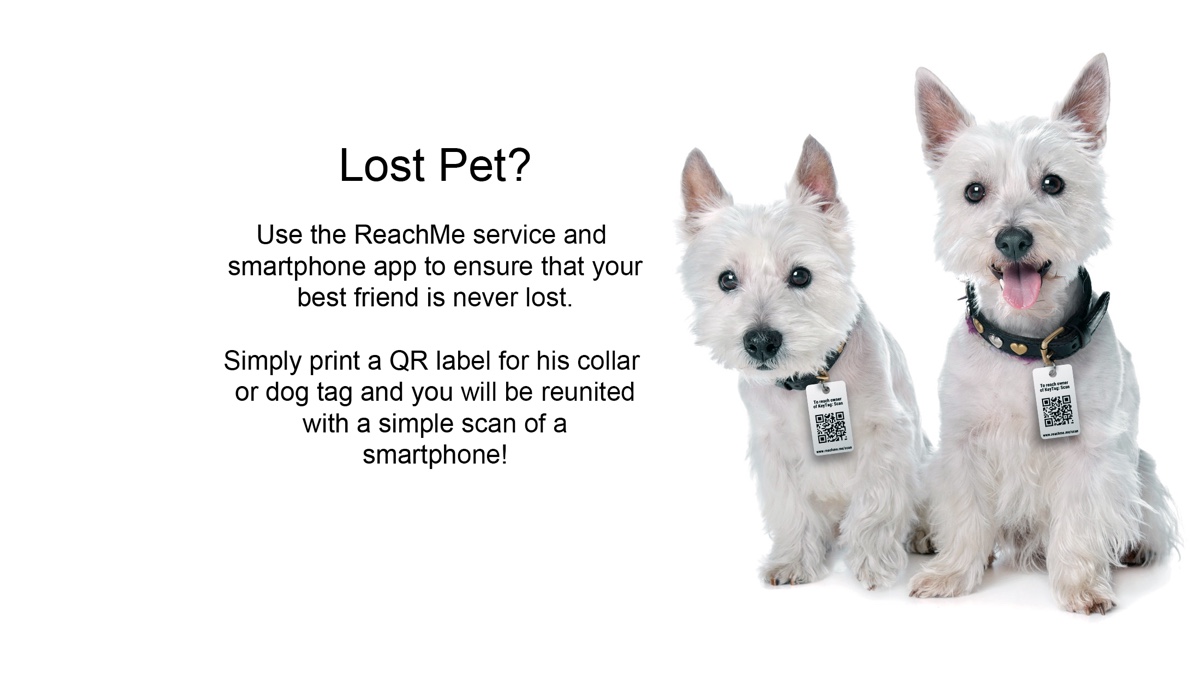 Smart pet tag on Dogs